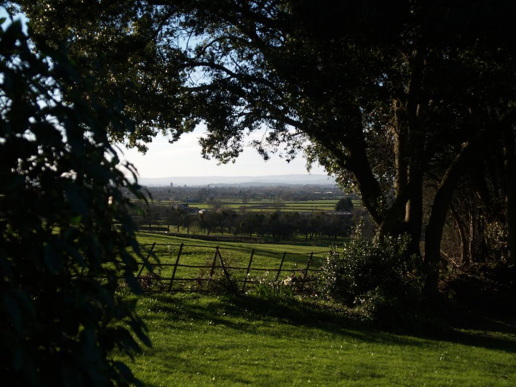 The Mount Somerset Taunton Eksteriør bilde