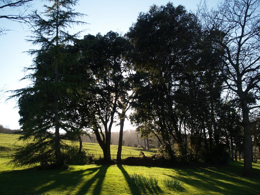 The Mount Somerset Taunton Eksteriør bilde